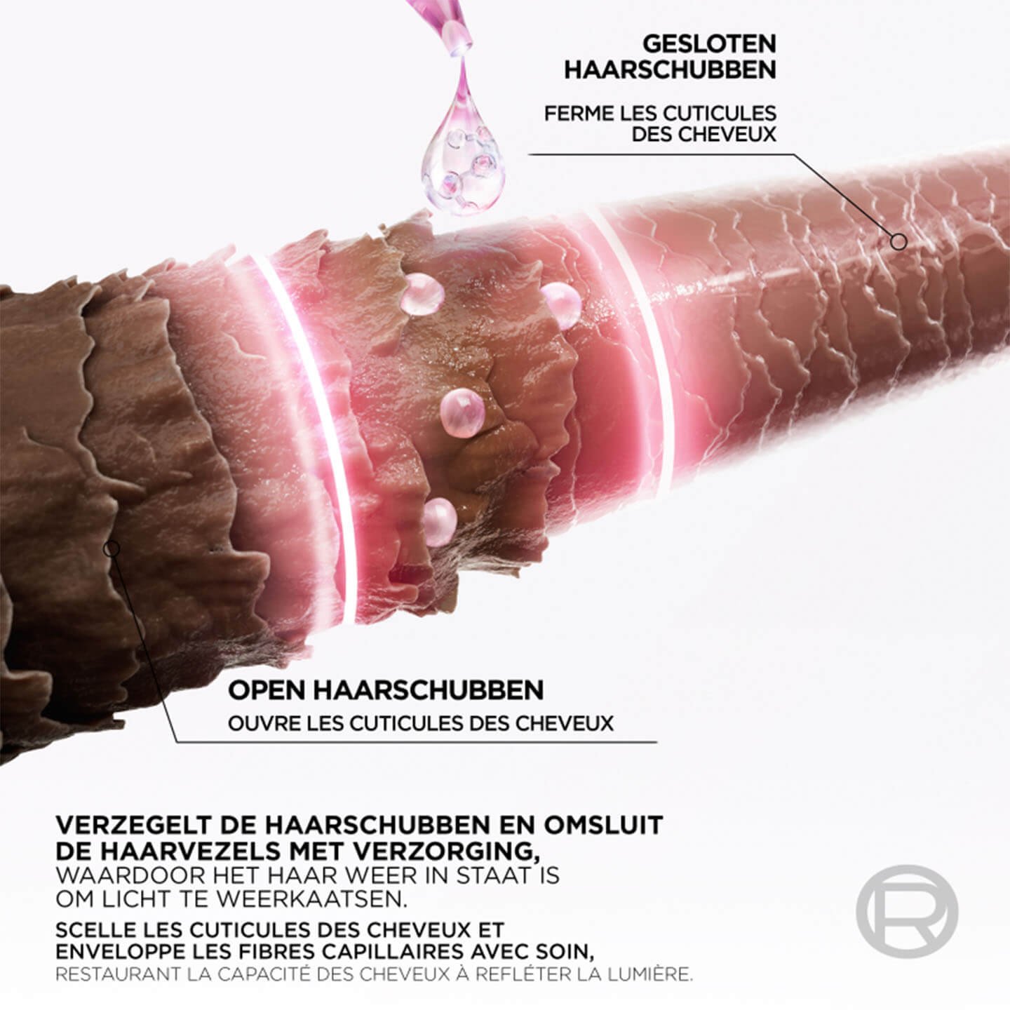 3600524127909 3 NLenFR